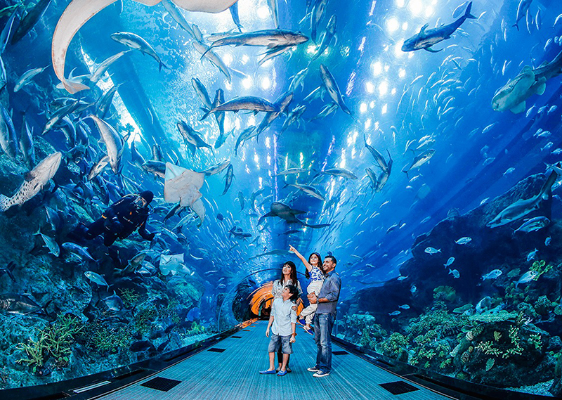 Dubai Aquarium thủy cung trong nhà lớn nhất thế giới, với kỷ lục Guinness là" bức tường quan sát hồ cá lớn nhất thế giới ".