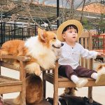 Nông trại cún Puppy Farm Đà Lạt với những chú cún siêu dễ thương và vườn hoa lý tưởng để check in.