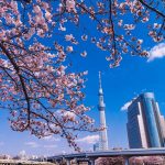 Tháp truyền hình Tokyo Sky Tree là niềm tự hào của đất nước Nhật Bản.