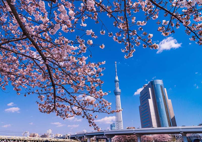 Tháp truyền hình Tokyo Sky Tree là niềm tự hào của đất nước Nhật Bản.